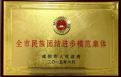 2015年6月荣获咸阳市人民政府“全市民族团结进步模范集体”称号